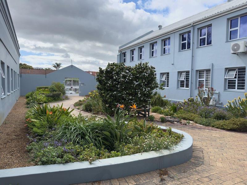 To Let commercial Property for Rent in Wynberg Western Cape